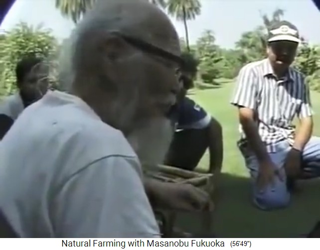 Permakultur-Pionier Masanobu Fukuoka predigt
gegen den sterilen, englischen Rasen Permakultur-Pionier Masanobu Fukuoka predigt
gegen den sterilen, englischen Rasen