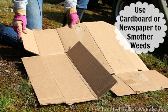 Put cardboard against weeds Put cardboard
against weeds