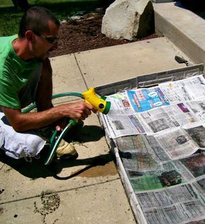 Put newspaper against weeds and pour it with
water: Put newspaper against weeds and pour it
with water: