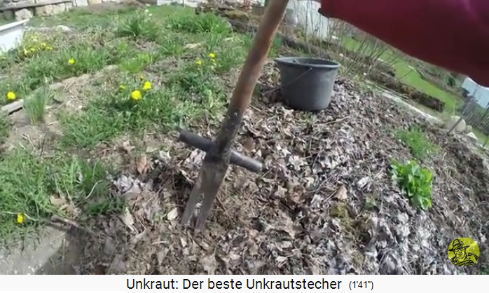 Unkrautstecher: Ampferstecher gegen
Pfahlwurzeln der Sauerampfer, kann auch hervorragend
gegen Löwenzahn verwendet werden Unkrautstecher:
Ampferstecher gegen Pfahlwurzeln der Sauerampfer, kann
auch hervorragend gegen Löwenzahn verwendet werden