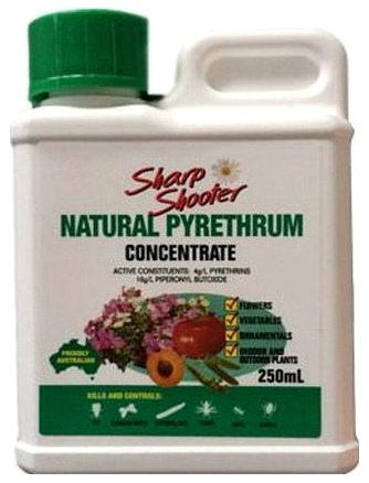 Pyrethrum, biologisches Pflanzenschutzmittel Pyrethrum, biologisches Pflanzenschutzmittel