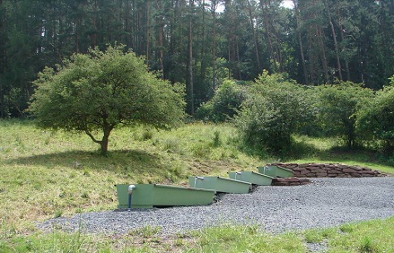 Vier
                    Schafstr�nken am Hang gestaffelt, bei Kaltennordheim
                    in der R�hn, Deutschland
