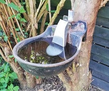 Automatische Einzelviehtr�nke