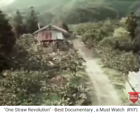 Der
                    Obstgarten von Fukuoka ca. 1980