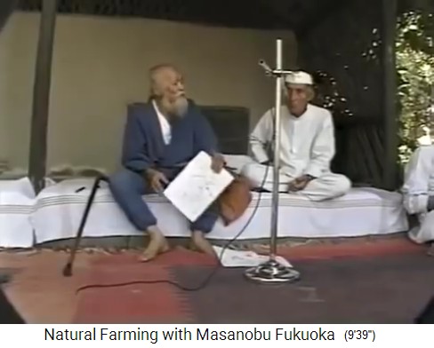 Workshop in
                  Indien 1997