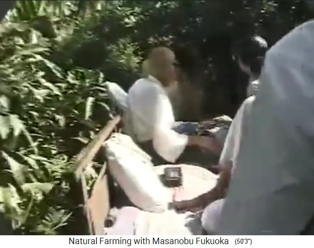 Fukuoka auf seiner Tour durch den
                  Bio-Waldgarten von Mr. Save in Valsad n�rdlich von
                  Mumbai 02