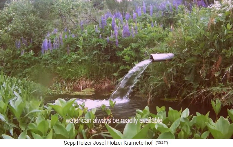 Krameterhof,
                            Seerosenteich, Seitenansicht