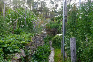 Melliodora, Gem�sebeet, Terrassen und
                    Kiesweg