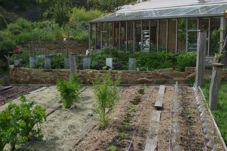 Melliodora, Gem�sebeet mit Strohmulch
                  und Flaschen