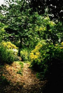 Obstwaldgarten
            von Robert Hart