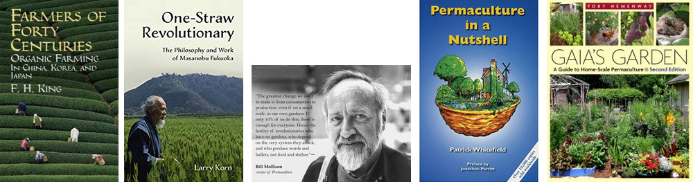 Pioneers of
                                  permaculture F.H. King "Farmers
                                  of Forty Centuries" - Fukuoka in
                                  Japan "One Straw Revolution"
                                  - pioneer Bill Mollison in Australia -
                                  a Patrick Whitefield with
                                  "Permaculture in a Nutshell"
                                  - pioneer Hemenway with "Gaia's
                                  Garden"