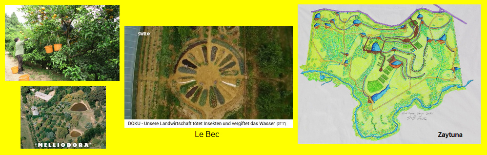 Permakultur-H�fe, Beispiele mit
                                  dem Zitrusgarten von Fukuoka in Japan,
                                  Melliodora in Australien, Le Bec in
                                  Frankreich, und Zaytuna in Australien