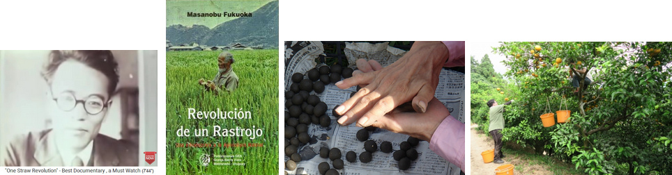 La granja de
                                  permacultura con un jard�n de c�tricos
                                  de Masanobu Fukuoka, Jap�n