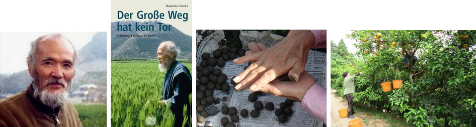 Der Permakultur-Hof mit
                                  Zitrusgarten von Masanobu Fukuoka,
                                  Japan