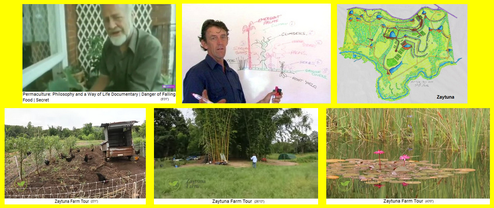 Das
                                  Permakultur-Forschungsinstitut von
                                  Bill Mollison "Tagari Farm"
                                  (1978-1997) auf Tasmanien - und unter
                                  Geoff Lawton die "Zaytuna
                                  Farm" bei Brisbane