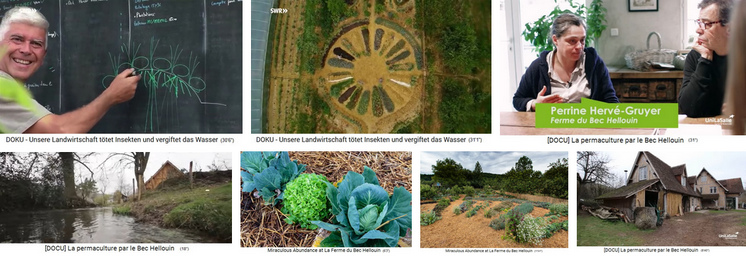 Der
                                    Hof in Le Bec Hellouin in Frankreich
                                    der Familie Herv�-Gruyer mit 1
                                    Hektar Permakultur - fast 10facher
                                    Ertrag wie normal