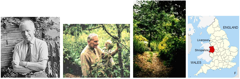 Obstwaldgarten von Robert Hart in
                                  England in Shropshire