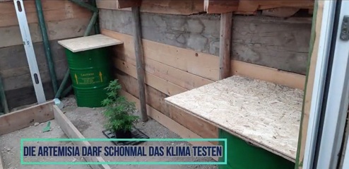 Im Innenraum
                              steht eine Artemisia-Pflanze, und die
                              Bretter f�r die Beete stehen bereits