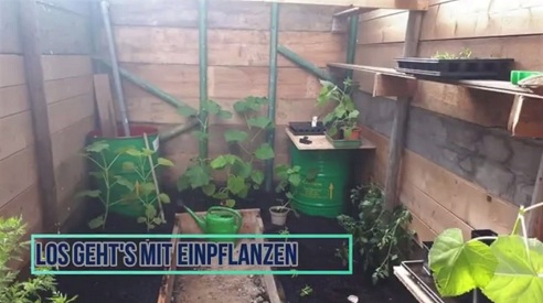 Und nun beginnt in den Beeten das
Pflanzen Und nun beginnt in den
Beeten das Pflanzen