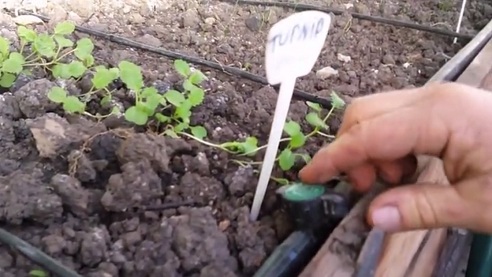 Das Hochbeet ist mit
                                Wasserhahnen in 3 Sektoren f�r die
                                Bew�sserung unterteilt