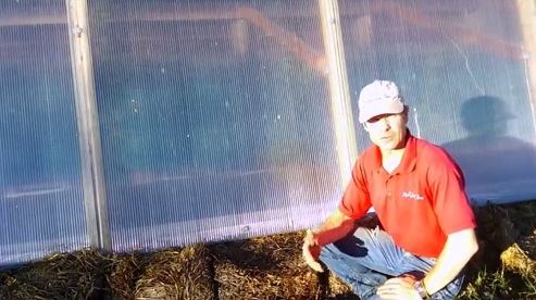 Fensterfront with doppelter
                                Polycarbonat-Verglasung