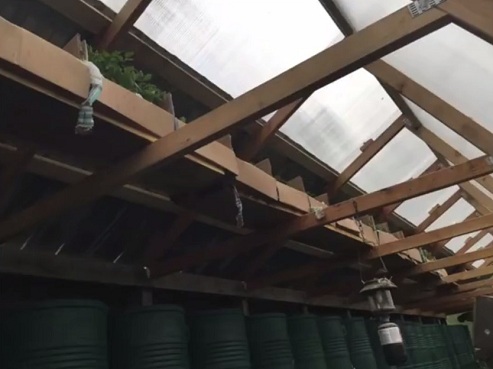 Die Samenvorr�te
                                sind unter dem Dach deponiert