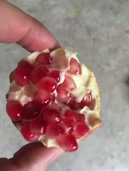 Granatapfel im Grubentreibhaus