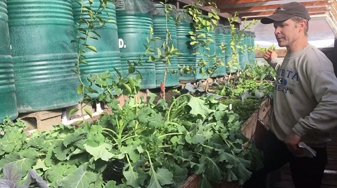 Februar: Sektor 3 ist noch voll
mit wachsendem Gemüse Februar:
Sektor 3 ist noch voll mit wachsendem
Gemüse