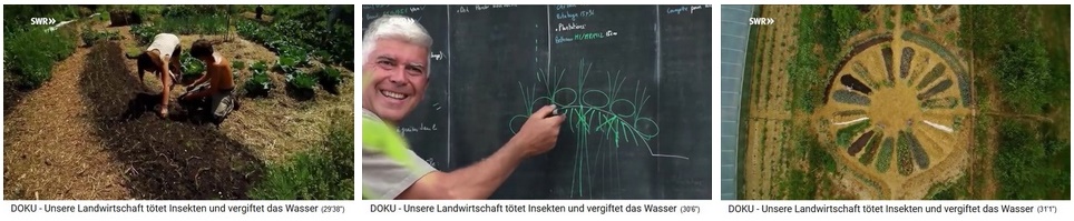 Der
                                Bio-Permakultur-Bauernhof "Bec
                                Hellouin": H�gelbeet, das Schema
                                des H�gelbeets, und das H�gelmandala -
                                die Produktion pro m2 ist 10mal MEHR als
                                in der "konventionellen
                                Landwirtschaft" - und KEINE
                                Anf�lligkeit gegen Trockenheit und
                                D�rre
