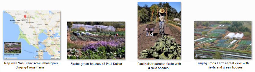 Small field agriculture at Singing
                  Frogs Farm in California is working without pesticides
                  because ground animals are different from vegetable to
                  vegetable and ALL pesticides can be SPARED and ALL
                  money for pesticides can be SAVED