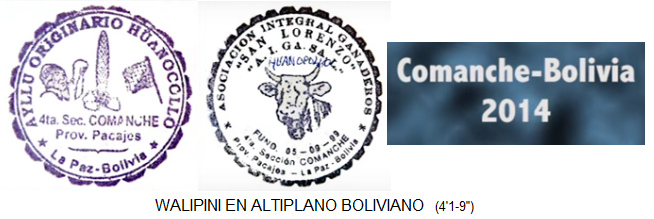 Die Stempel am Ende des Films,
                          Bolivien