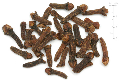 Nelken vertreiben Ameisen