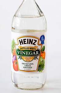 Weisser Essig
        vertreibt Ameisen