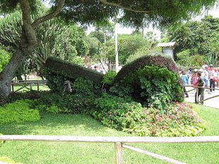 Pflanzenschmetterling am Eingang des
Botanischen Gartens (02) Pflanzenschmetterling am Eingang des
Botanischen Gartens (02)