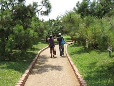 Der Sandweg, der durch
den Botanischen Garten führt Der Sandweg, der durch den Botanischen
Garten führt