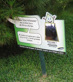 Botanischer Garten im
"Legendenpark" in Lima, Tafel der
Pinie Botanischer Garten im
"Legendenpark" in Lima, Tafel der
Pinie