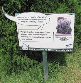Botanischer Garten im
"Legendenpark" in Lima, Tafel des
Lebensbaums Botanischer Garten im
"Legendenpark" in Lima, Tafel des
Lebensbaums