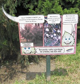 Botanischer Garten
im "Legendenpark" in Lima, die Tafel
Gemeiner Wacholder Botanischer Garten im
"Legendenpark" in Lima, die Tafel
Gemeiner Wacholder