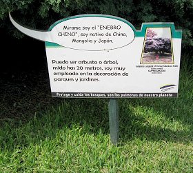 Botanischer
Garten im "Legendenpark" in Lima,
Tafel Chinesischer Wacholder Botanischer Garten im
"Legendenpark" in Lima, Tafel
Chinesischer Wacholder
