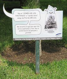 Botanischer Garten im
"Legendenpark" in Lima, Tafel Echte
Sumpfzypresse Botanischer Garten im
"Legendenpark" in Lima, Tafel Echte
Sumpfzypresse