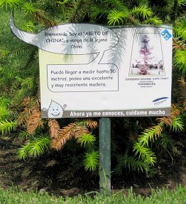 Botanischer Garten im
"Legendenpark" in Lima, Tafel
Spiesstanne Botanischer Garten im
"Legendenpark" in Lima, Tafel
Spiesstanne