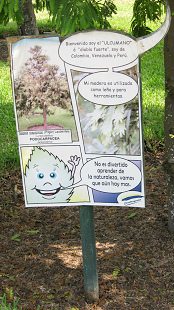 Botanischer Garten im
                          "Legendenpark" in Lima, Tafel
                          Nagleia rospigliosii