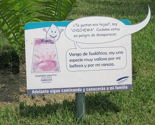 Botanischer Garten im
                          "Legendenpark" in Lima, Tafel
                          Angenehmer Palmfarn