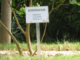 Zoo "Legendenpark" in Lima San
                          Miguel, Tafel des Goldbaums