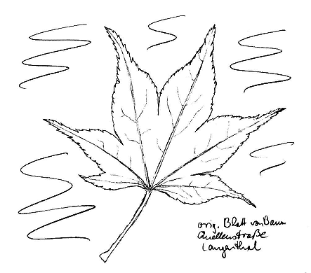 Ahorn: F�cherahorn, Blatt