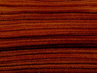 Eisenholz aus Brasilien