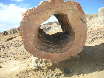 Versteinerte Baumst�mme Argentinien 03,
                      Baumstamm mit Loch