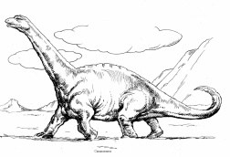 Dinosaurus: Camarasaurus 1 Dinosaurus: Camarasaurus 1