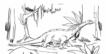 Dinosaurier: Camarasaurus 2 Dinosaurier: Camarasaurus 2