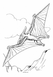 Dinosaurier: Pteraranodon, Flugechse Dinosaurier: Pteraranodon, Flugechse